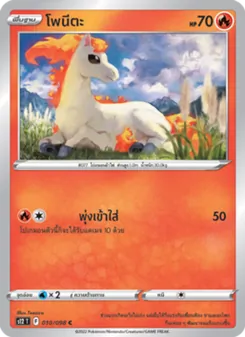 โพนีตะ