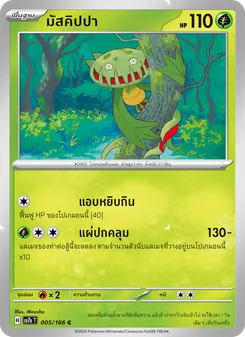 มัสคิปปา