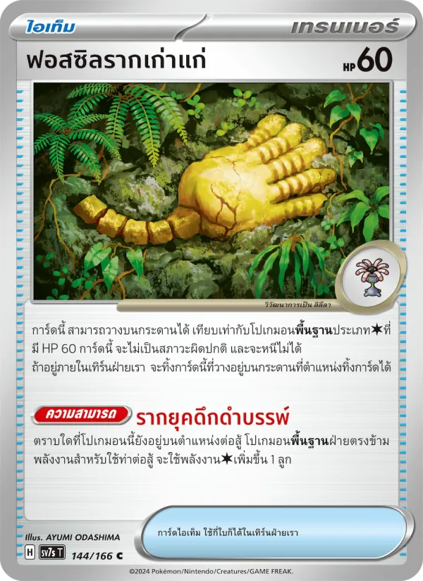 ฟอสซิลรากเก่าแก่ — แสงนำทางแห่งสเตลลาร์ 144/166