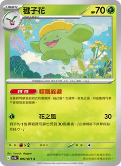 毽子花