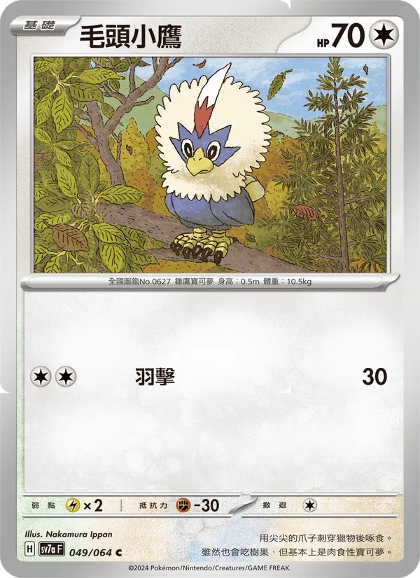 毛頭小鷹 — 樂園騰龍 049/64