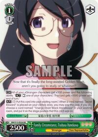 Family Circumstance, Tsubasa Hanekawa