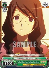 The Best Class Rep, Tsubasa Hanekawa