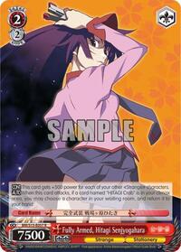 Fully Armed, Hitagi Senjyogahara