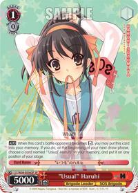 "Usual" Haruhi (SP)