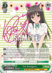 Yui Kotegawa (SP)