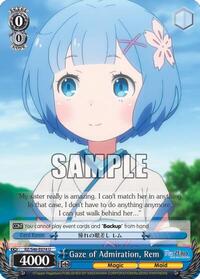 Gaze of Admiration, Rem