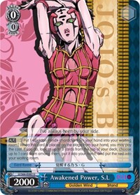 Awakened Power, S.L