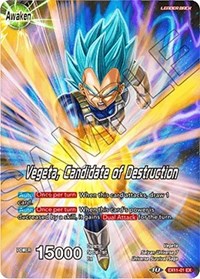 Vegeta // Vegeta, Candidate of Destruction