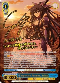Important Promise, Tohka (SEC)