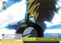 Catching the Spear