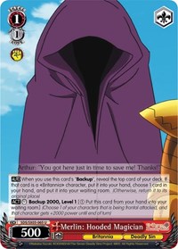 Merlin: Hooded Magician