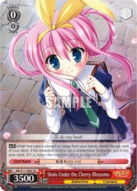 Shalo Under the Cherry Blossoms