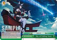 Sky of Falling Stars