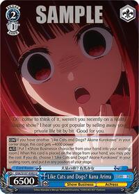 Like Cats and Dogs? Kana Arima