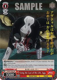 Using the Last of His Life, Iggy (JJR)