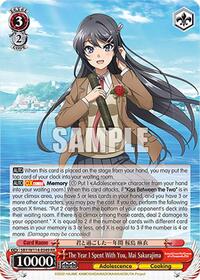 The Year I Spent With You, Mai Sakurajima