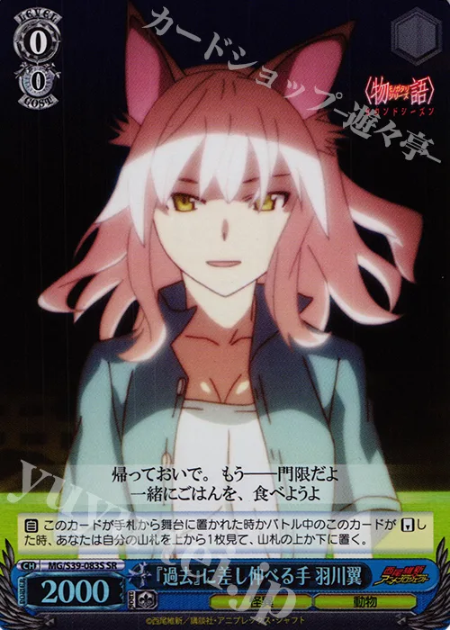 『過去』に差し伸べる手 羽川翼 — <物語>シリーズ セカンドシーズン MG/S39-083S