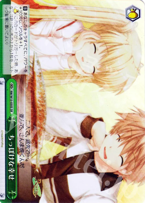 ちっぽけな幸せ — Rewrite RW/W15-050S