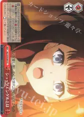 シュッツエンゲルとは