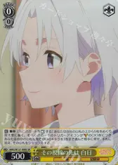その視線の先は 白日