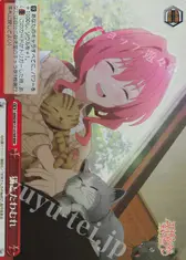 猫とたわむれ