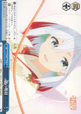 朝の靴紐