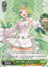 純白の装い ぷわぷわぽぷら
