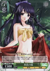 水着の環