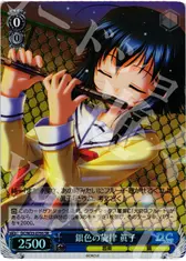 銀色の旋律 眞子