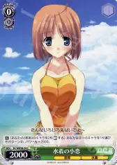 水着の小恋