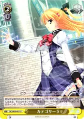 カテゴリー５