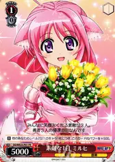 素敵な1日 ミルヒ