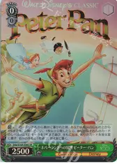 ネバーランドへの冒険 ピーター・パン
