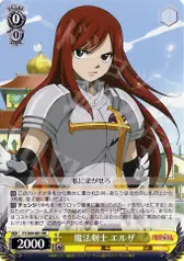魔法剣士 エルザ