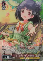 ときどきシーソー　中谷 育
