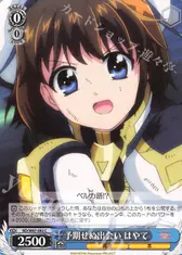 予期せぬ出会い はやて