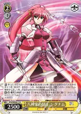 八神家の騎士 シグナム