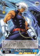 八神家の騎士 ザフィーラ