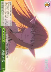 人間の時代