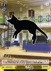 隊長!?