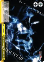 DER ZITTERAAL 電撃生物