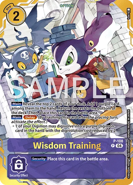 Wisdom Training — Other Products P-108