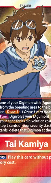 Tai Kamiya