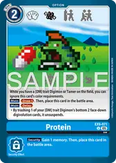 Protein