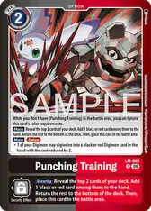 Punching Training