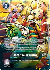 Defense Training