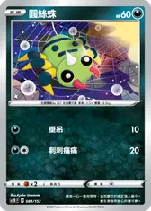 圓絲蛛