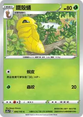 鐵殼蛹
