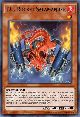 T.G. Rocket Salamander